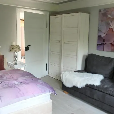 über Den Dächern * Blankenburg (Harz)